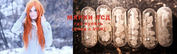 гашик Касимов