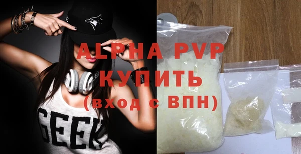 гашик Касимов