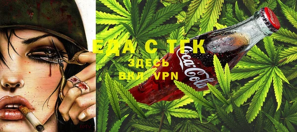 гашик Касимов